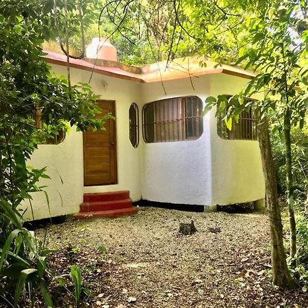 Jolie Jungle Eco Hotel (Adults Only) Leona Vicario Exterior photo