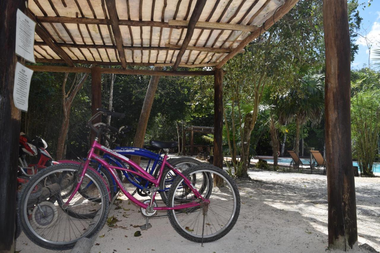 Jolie Jungle Eco Hotel (Adults Only) Leona Vicario Exterior photo