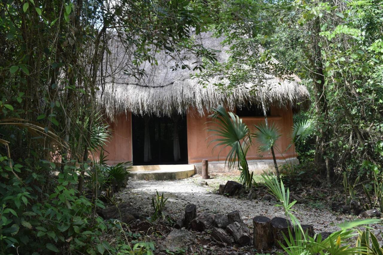 Jolie Jungle Eco Hotel (Adults Only) Leona Vicario Exterior photo