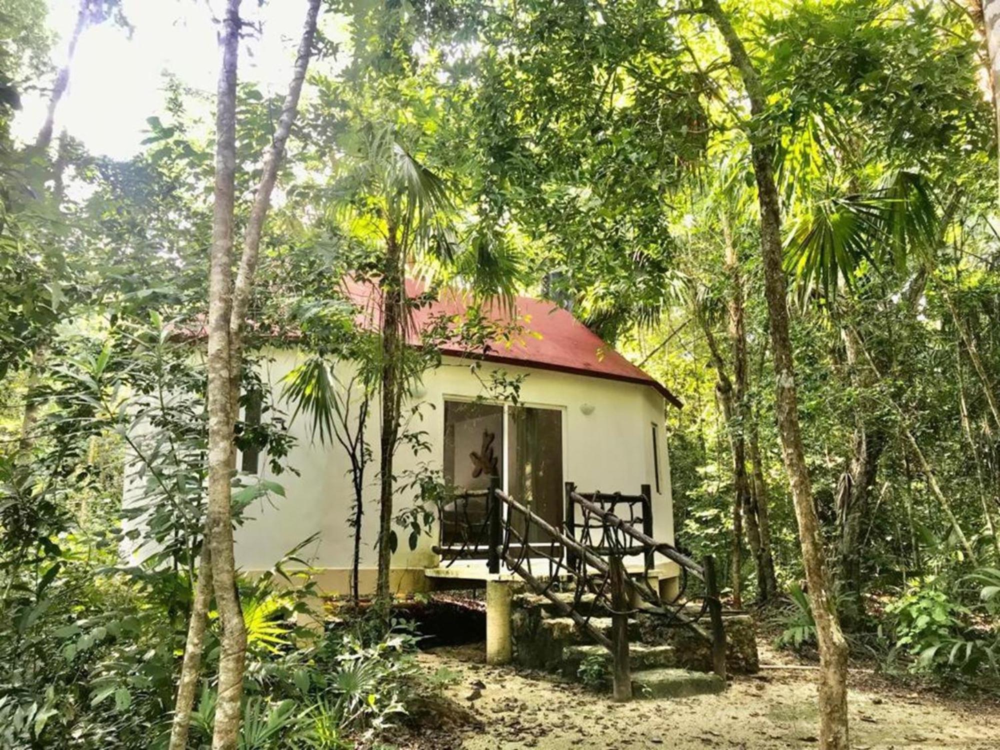 Jolie Jungle Eco Hotel (Adults Only) Leona Vicario Exterior photo